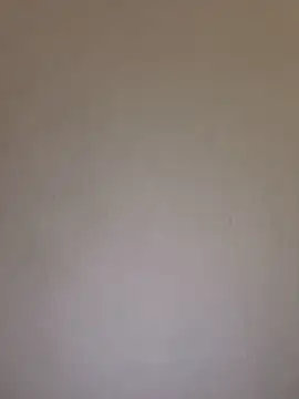 Lara_petit