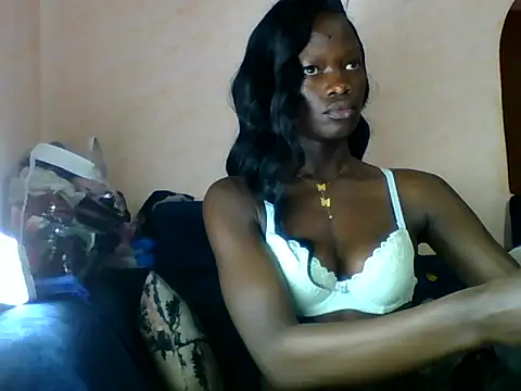 star-strip live cam on StripChat