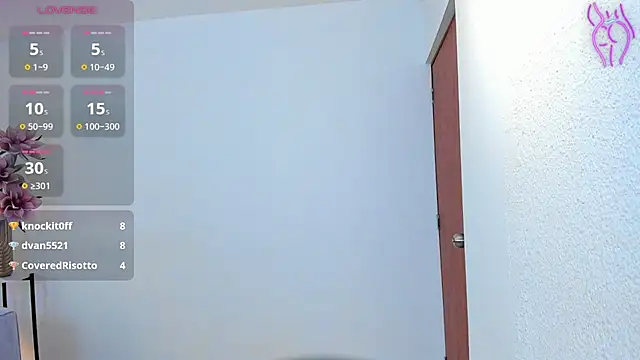 aryvg webcam