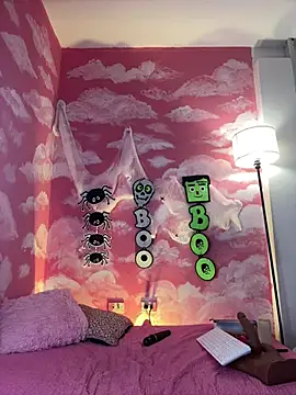 vivirouse webcam