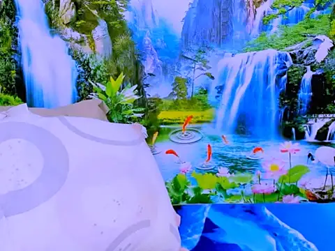 indianroxy