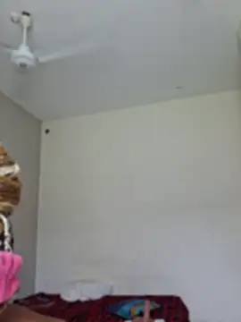 Kamdollie
