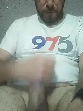 danmep8387