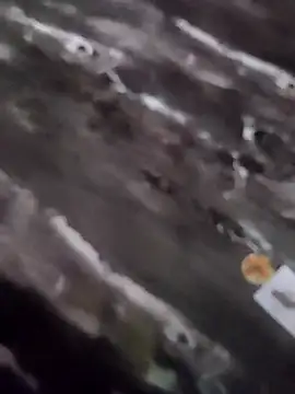 MAJORLAZER77 live cam on StripChat
