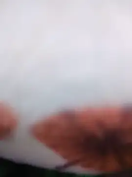 ah411178