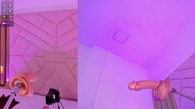 DollyMae_