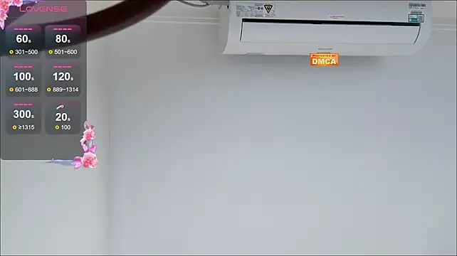 dd_bb