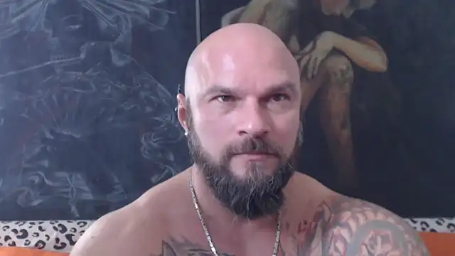 viking_30