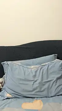 Caihong- webcam