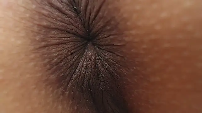 GanseloMix