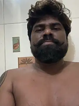 bigdog_ds