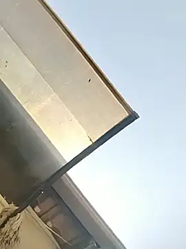 JuicyHoney_01