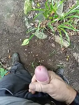 hamstercom3333 (Ask my age) - Cum