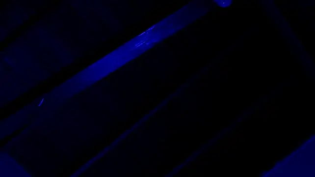 tonypetrovjs (M twink) - naked