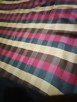 RaviLive_53 webcam
