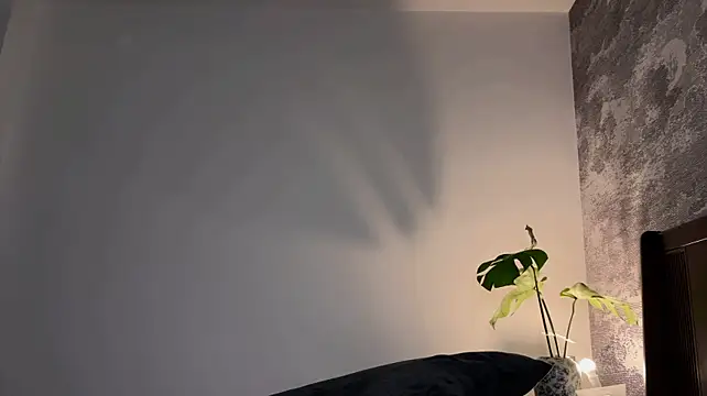 meowLili webcam