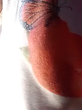 SexyAdel11