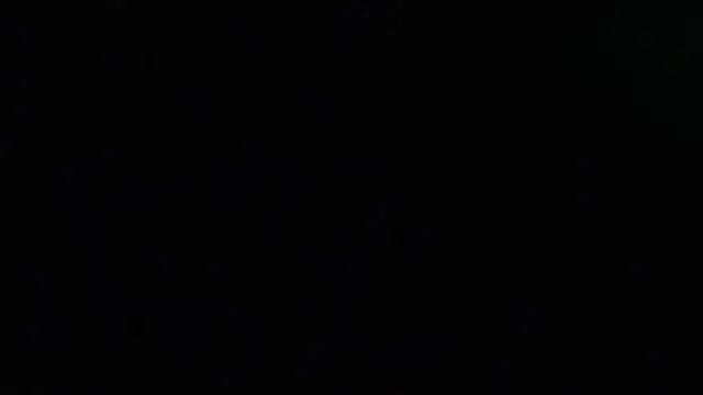 FifiBae1