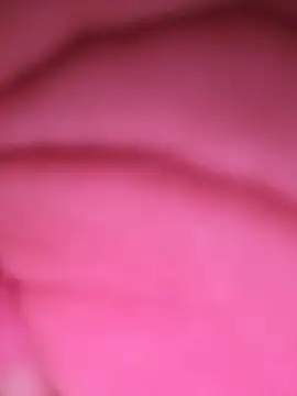 Milly_SP live cam on StripChat