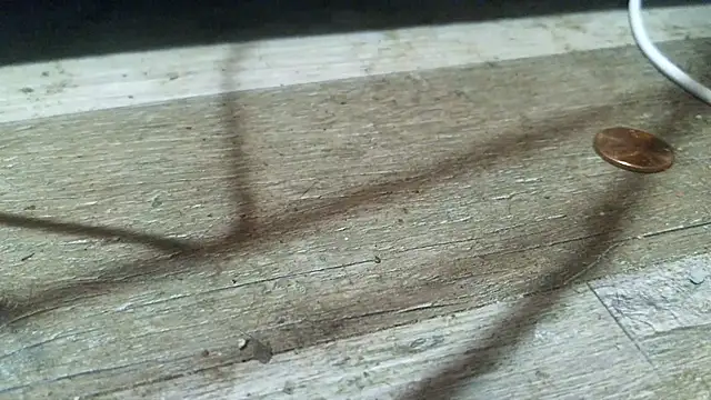 DaddyXLust