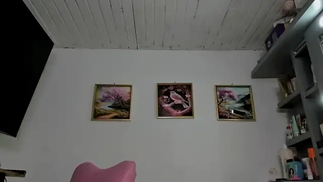 lucianaosorno