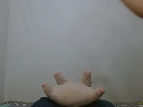 maylatin live cam on StripChat