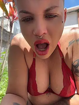 alicetgirlbr webcam