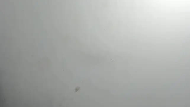 liz_katherine
