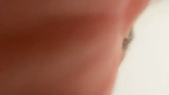 Taylorsexbot