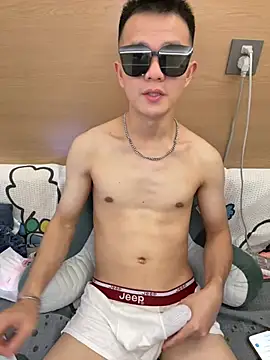 zcj09 webcam