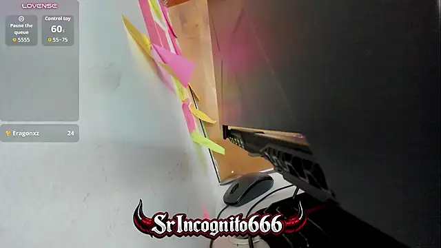 SrIncognito666