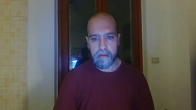 AMIRDIB2025