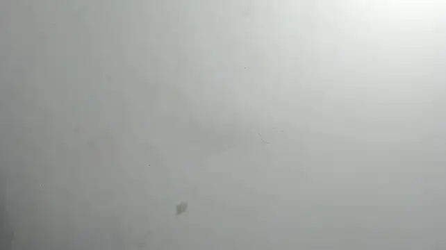 liz_katherine