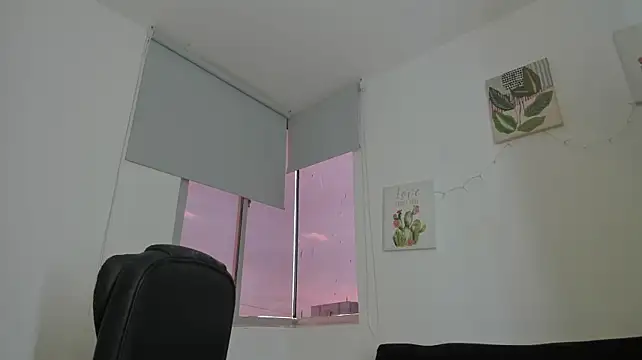 Modèle: barbie_ds