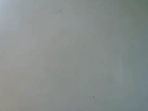 Cheupe_dawaa