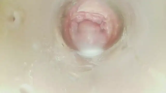 karol_stom