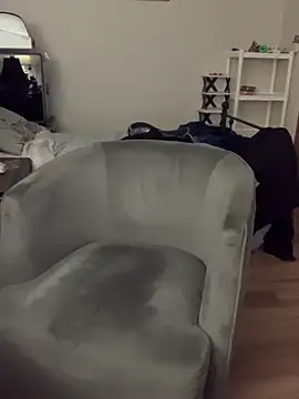 Livingpuddle live webcam