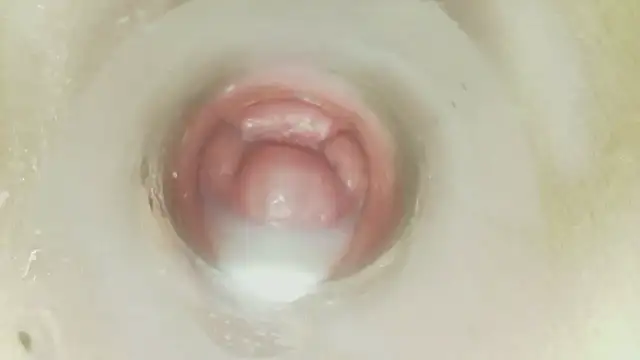 karol_stom