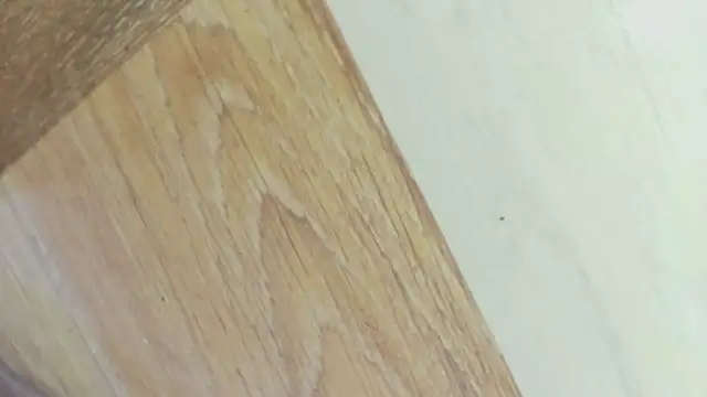 karol_stom