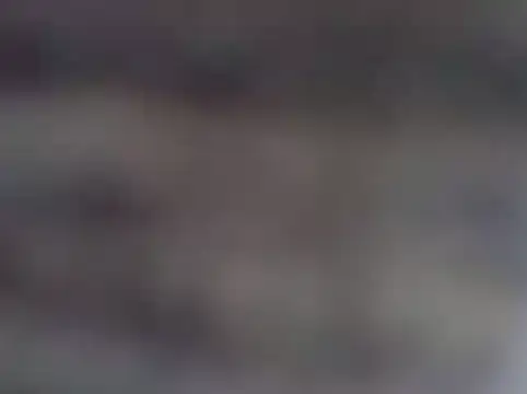 dustbunny64 webcam