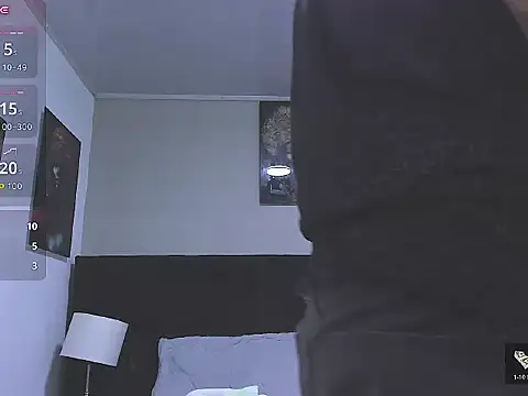 _Alan_Walker_1 webcam