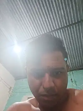 Gato_hot77