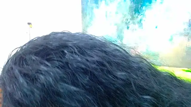 LuxeBBWxx2 webcam