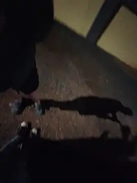 hornyashellhyhans