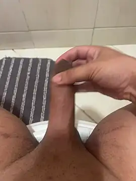 novinn13