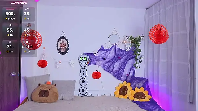 sofix__ webcam