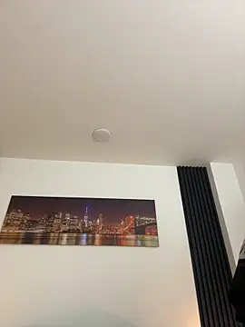 AmadeoWild live cam on StripChat