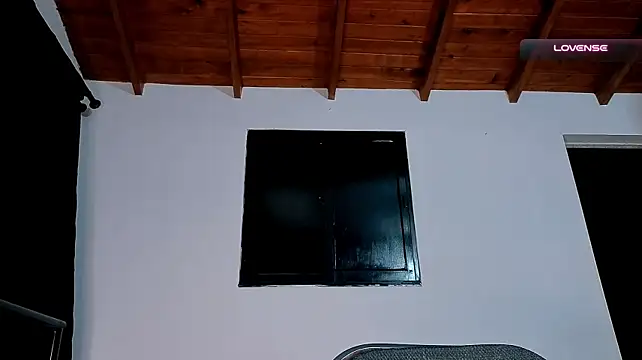 SilvaBranko live cam