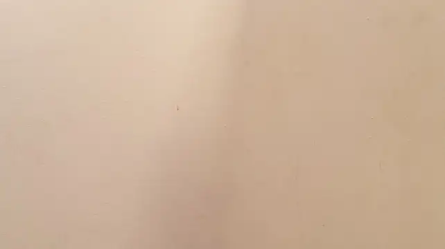 Laylacharmel