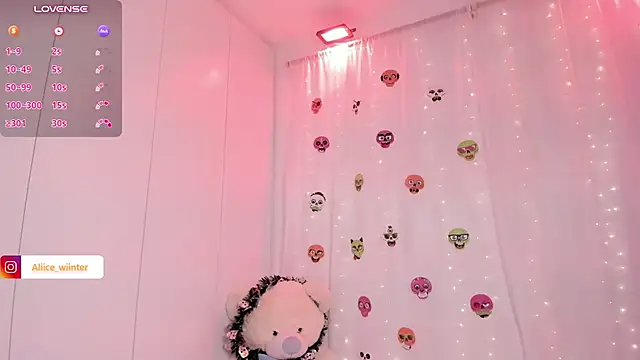 Alice_winter_ webcam